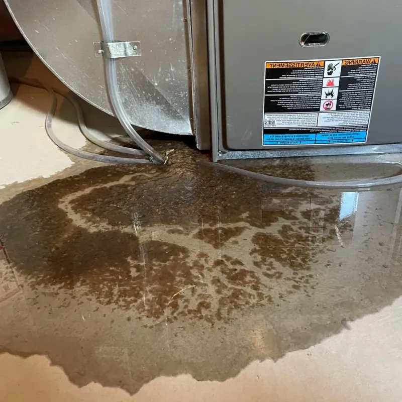 Pipe Burst and Leak Restoration in Howard County, NE